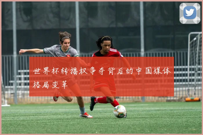 世界杯转播权争夺背后的中国媒体格局变革