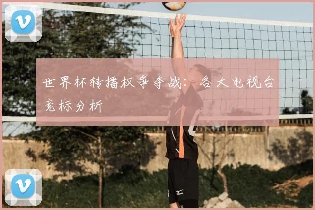 世界杯转播权争夺战：各大电视台竞标分析