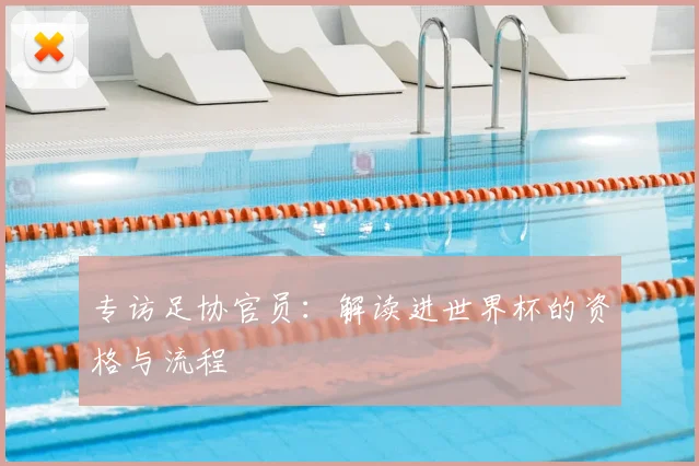 专访足协官员：解读进世界杯的资格与流程