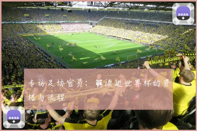 专访足协官员：解读进世界杯的资格与流程