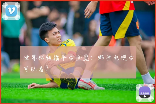 世界杯转播平台全览：哪些电视台可以看？