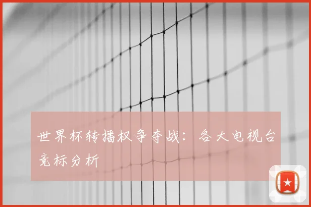 世界杯转播权争夺战：各大电视台竞标分析