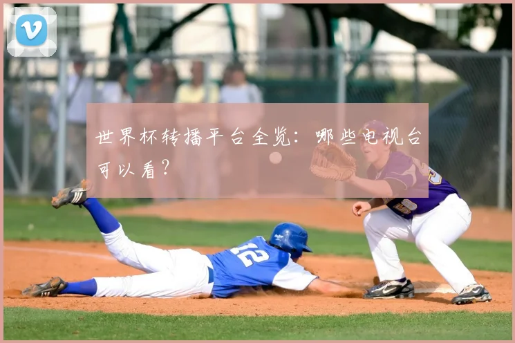 世界杯转播平台全览：哪些电视台可以看？