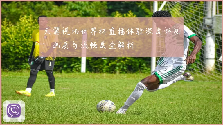 天翼视讯世界杯直播体验深度评测：画质与流畅度全解析