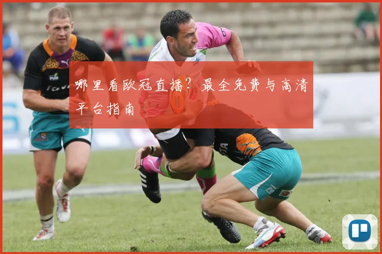 哪里看欧冠直播？最全免费与高清平台指南