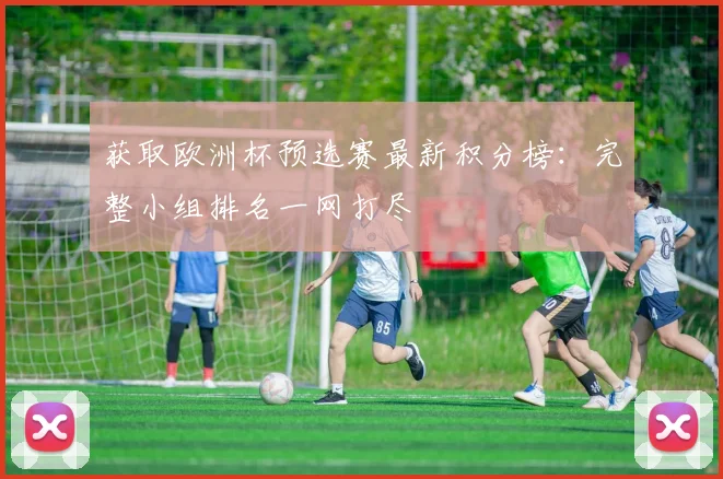 获取欧洲杯预选赛最新积分榜：完整小组排名一网打尽